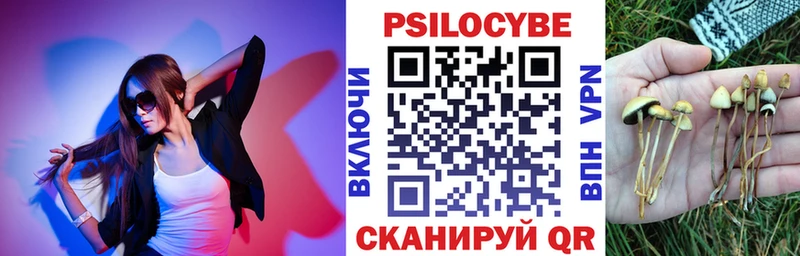 купить  цена  Абаза  Псилоцибиновые грибы Psilocybine cubensis 
